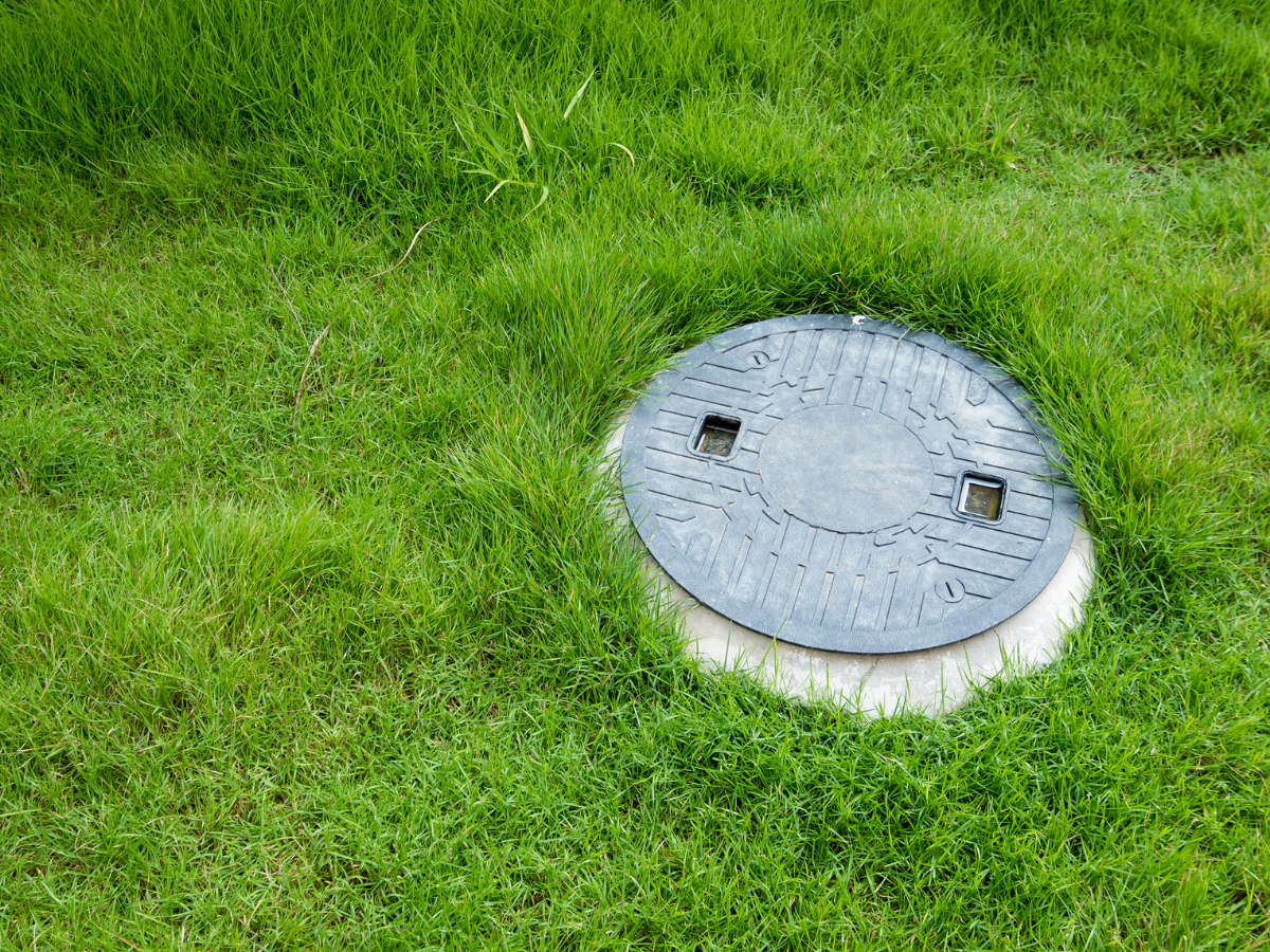 man hole of septic tank surrounded by grass